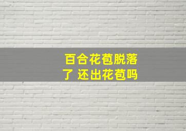 百合花苞脱落了 还出花苞吗